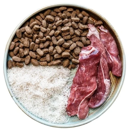 hr 2025 09 TB dog food