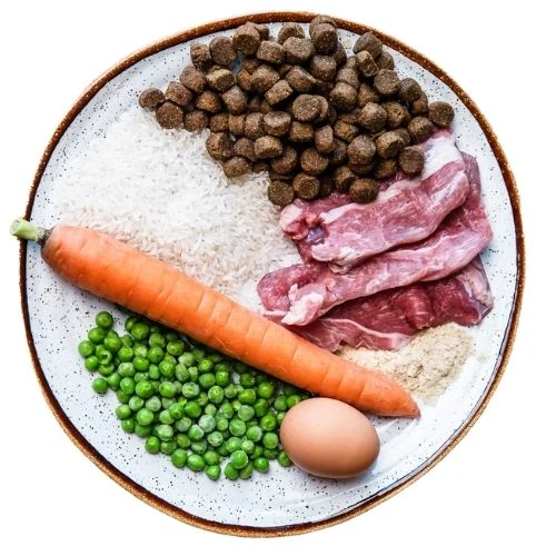 hr 2025 09 THB dog food