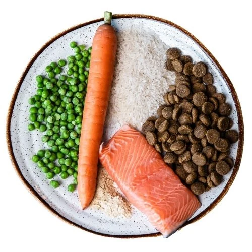 hr 2025 09 THL dog food