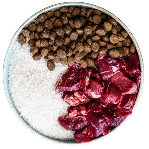 hr 2025 09 THM dog food