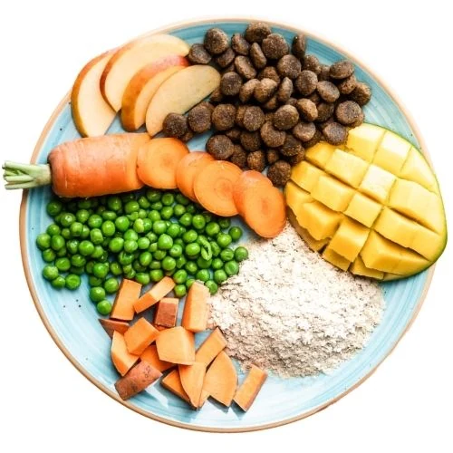 hr 2025 09 THR dog food