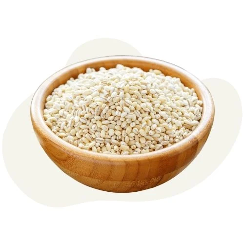 hr 2025 09 barley