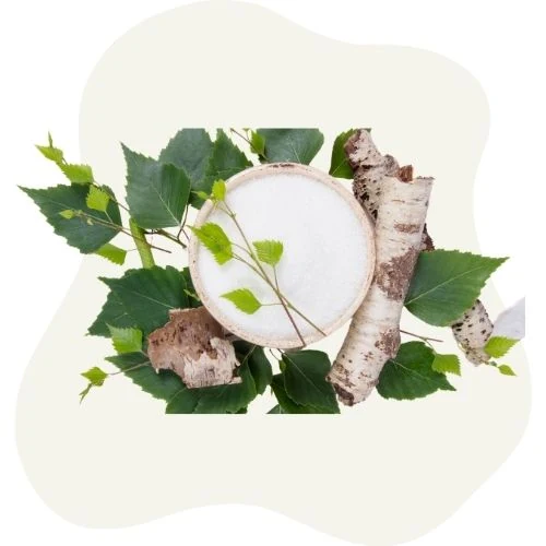 hr 2025 09 birch leaf