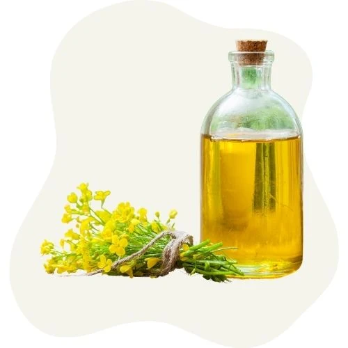 hr 2025 09 canola