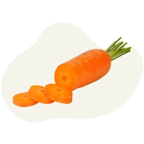hr 2025 09 carrot