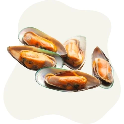 hr 2025 09 green lipped mussel