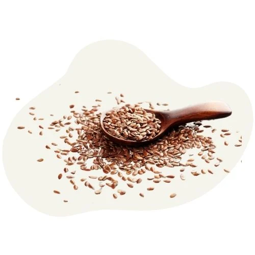 hr 2025 09 linseed