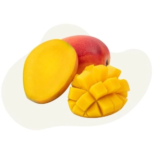 hr 2025 09 mango