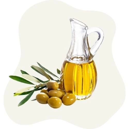 hr 2025 09 olive oil
