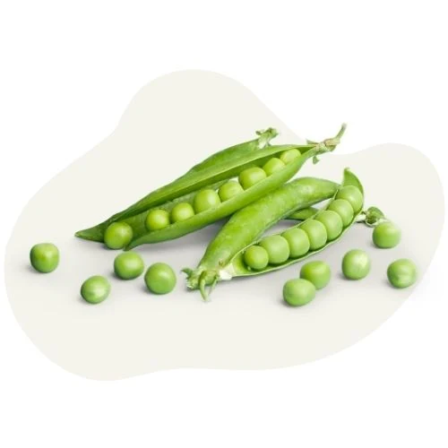 hr 2025 09 peas