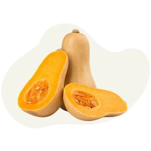 hr 2025 09 pumpkin