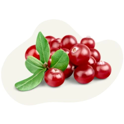 hr 2025 09 red cranberry