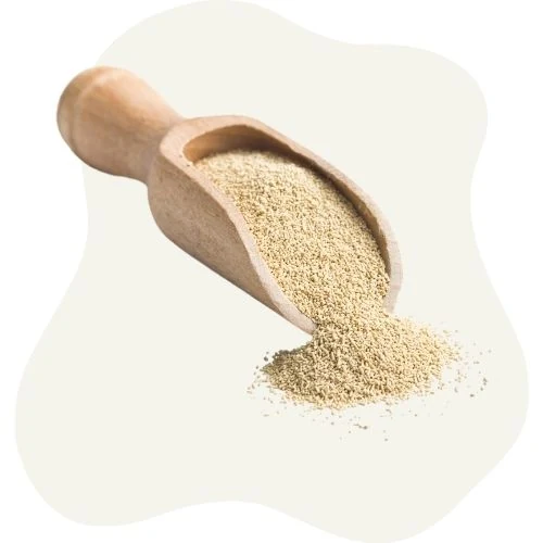 hr 2025 09 yeast