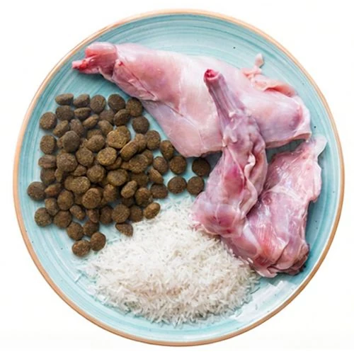 hr 2026 04 THNY dog food ingredients
