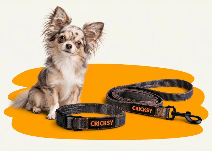 hr 2026 09 Cricksy