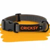 Ogrlica Cricksy